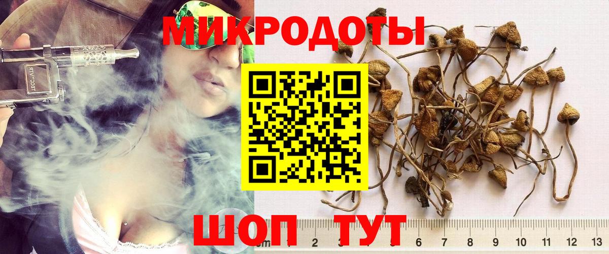 Галлюциногенные грибы Psilocybine cubensis Алатырь