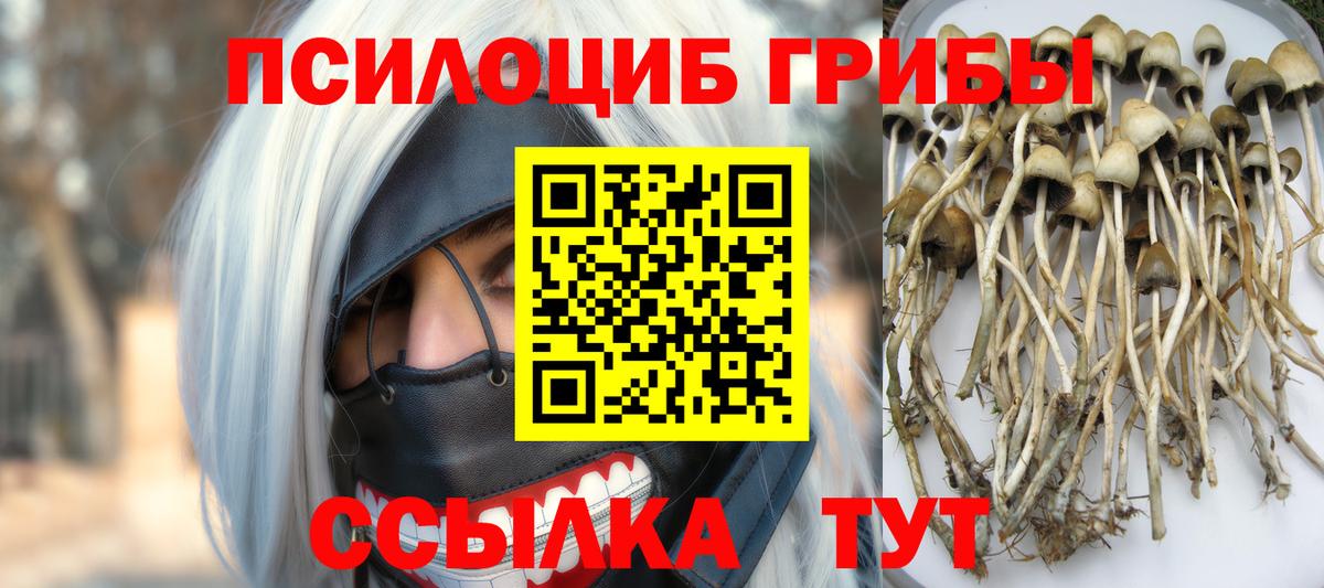 Галлюциногенные грибы мицелий  Вход с VPN  Алатырь 